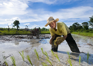 Agricultural Contractors