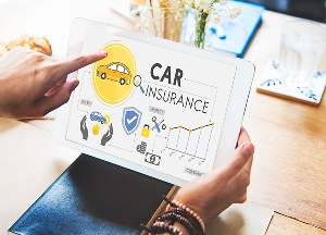 Insurance Providers