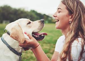 Pet Care & Animal Services